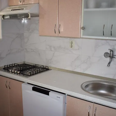 Jelincic 特罗吉尔